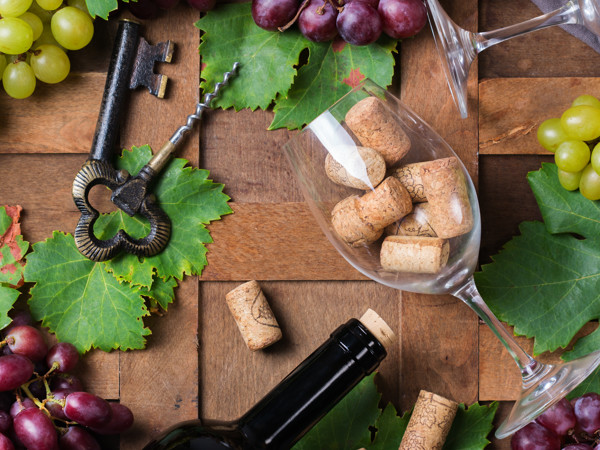 Onze Le choix d’Eric-serie